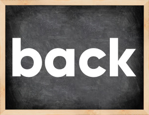 3 forms of the verb back