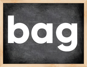 3 forms of the verb bag