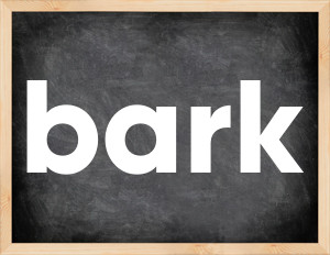 3 forms of the verb bark