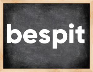 3 forms of the verb bespit