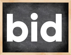 3 forms of the verb bid
