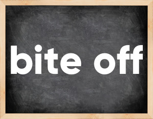 3 forms of the verb bite off
