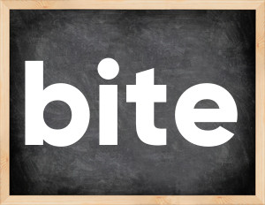 3 forms of the verb bite in English