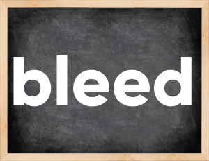 3 forms of the verb bleed