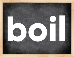 3 forms of the verb boil