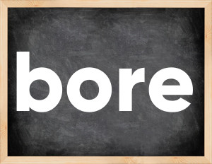 3 forms of the verb bore