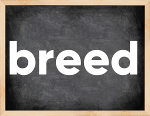 3 forms of the verb breed