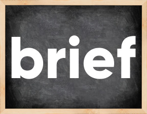 3 forms of the verb brief