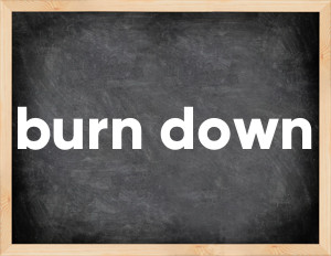 3 forms of the verb burn down
