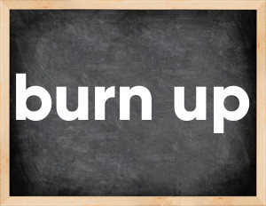 3 forms of the verb burn up