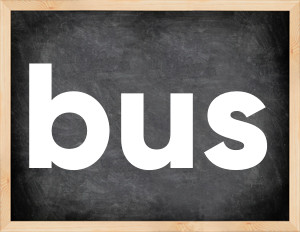 3 forms of the verb bus