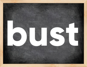 3 forms of the verb bust
