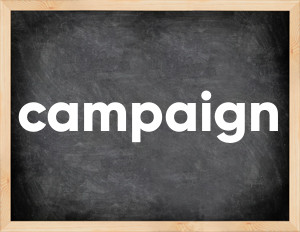 3 forms of the verb campaign