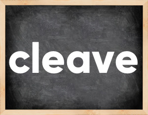 3 forms of the verb cleave