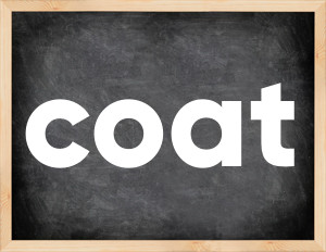 3 forms of the verb coat