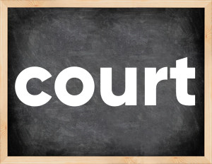 3 forms of the verb court