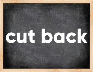 3 forms of the verb cut back