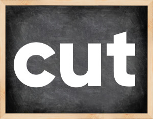3 forms of the verb cut