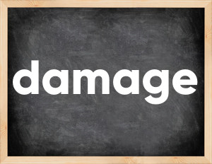 3 forms of the verb damage
