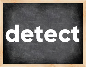 3 forms of the verb detect