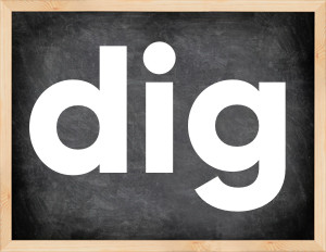 3 forms of the verb dig