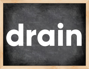 3 forms of the verb drain