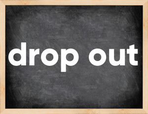 3 forms of the verb drop out