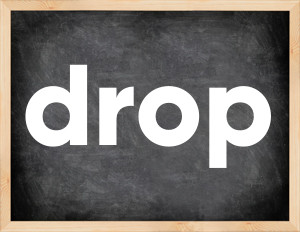 3 forms of the verb drop