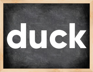 3 forms of the verb duck