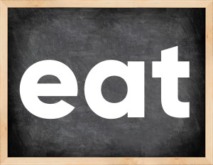 3 forms of the verb eat