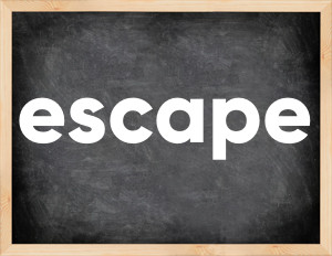 3 forms of the verb escape