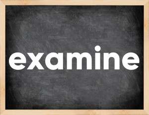 3 forms of the verb examine