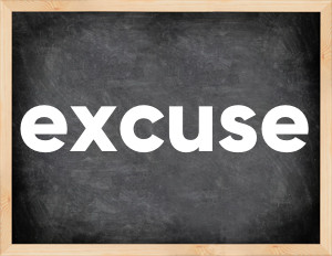 3 forms of the verb excuse