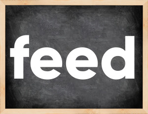 3 forms of the verb feed