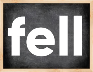 3 forms of the verb fell