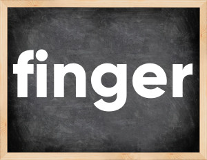 3 forms of the verb finger