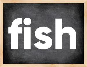 3 forms of the verb fish
