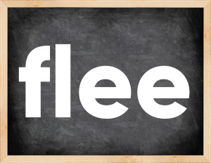 3 forms of the verb flee