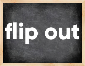 3 forms of the verb flip out