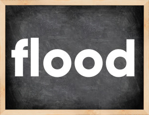 3 forms of the verb flood