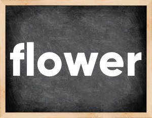 3 forms of the verb flower