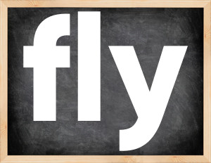 3 forms of the verb fly