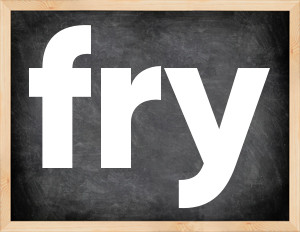 3 forms of the verb fry