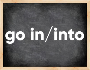 3 forms of the verb go in/into