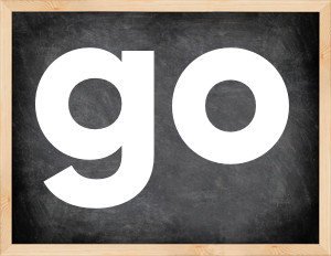 3 forms of the verb go