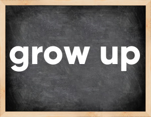 3 forms of the verb grow up in English