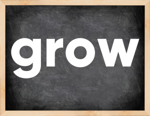 3 forms of the verb grow