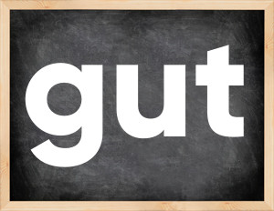 3 forms of the verb gut