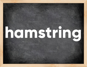 3 forms of the verb hamstring