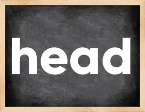 3 forms of the verb head